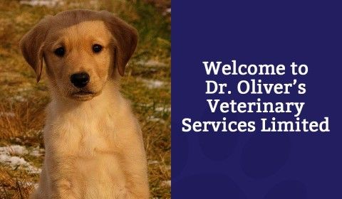 Welcome to Dr. Oliver's Veterinary Services Limited